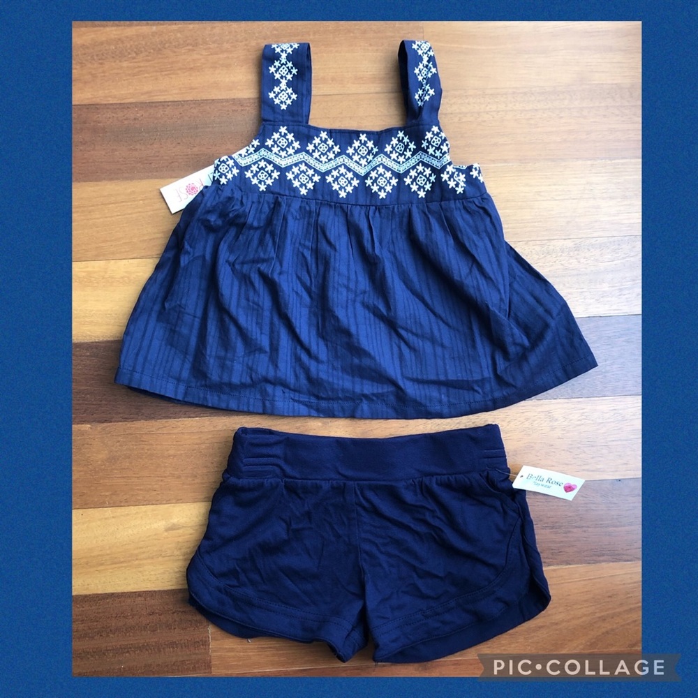 NWT cute girl's outfit